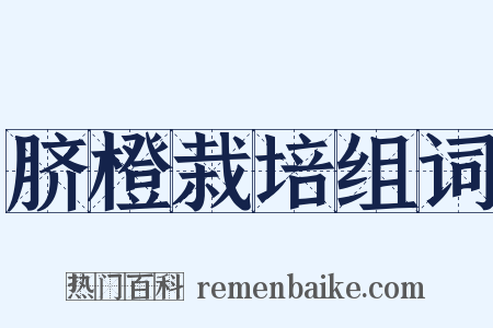 脐橙栽培组词是什么意思的图片